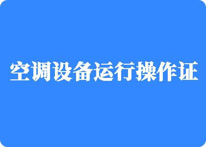 深夜免费看大鸡鸡制冷工证