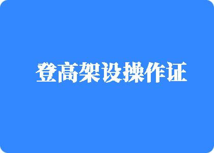 啊啊啊网页网址在线免费登高架设操作证